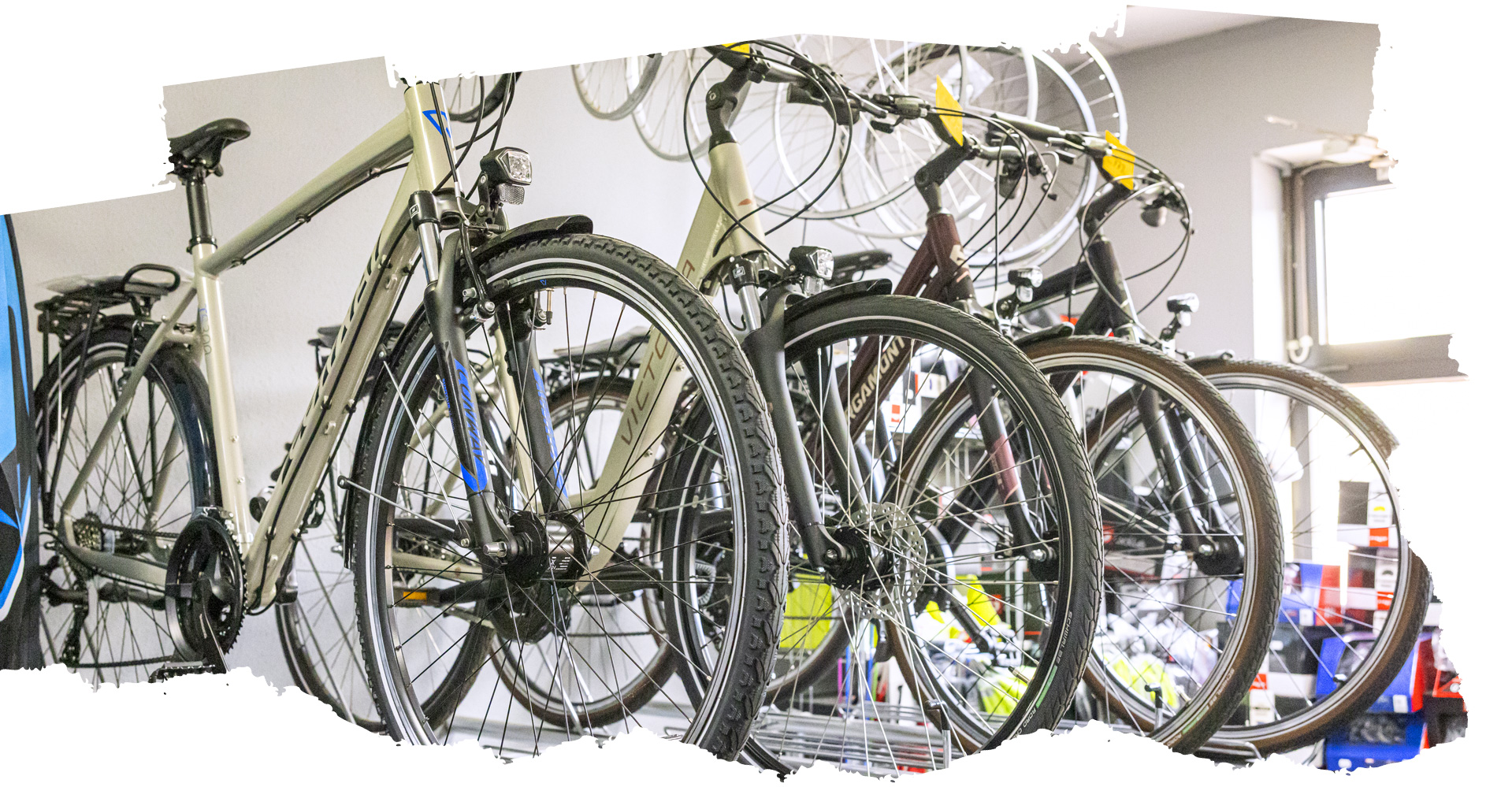 Fahrrad Naumann in Strausberg