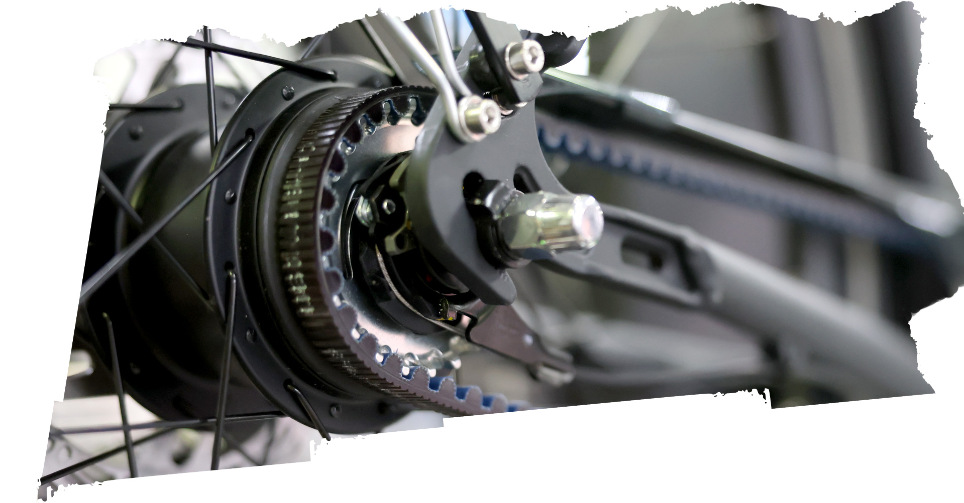 Fahrrad Naumann in Strausberg