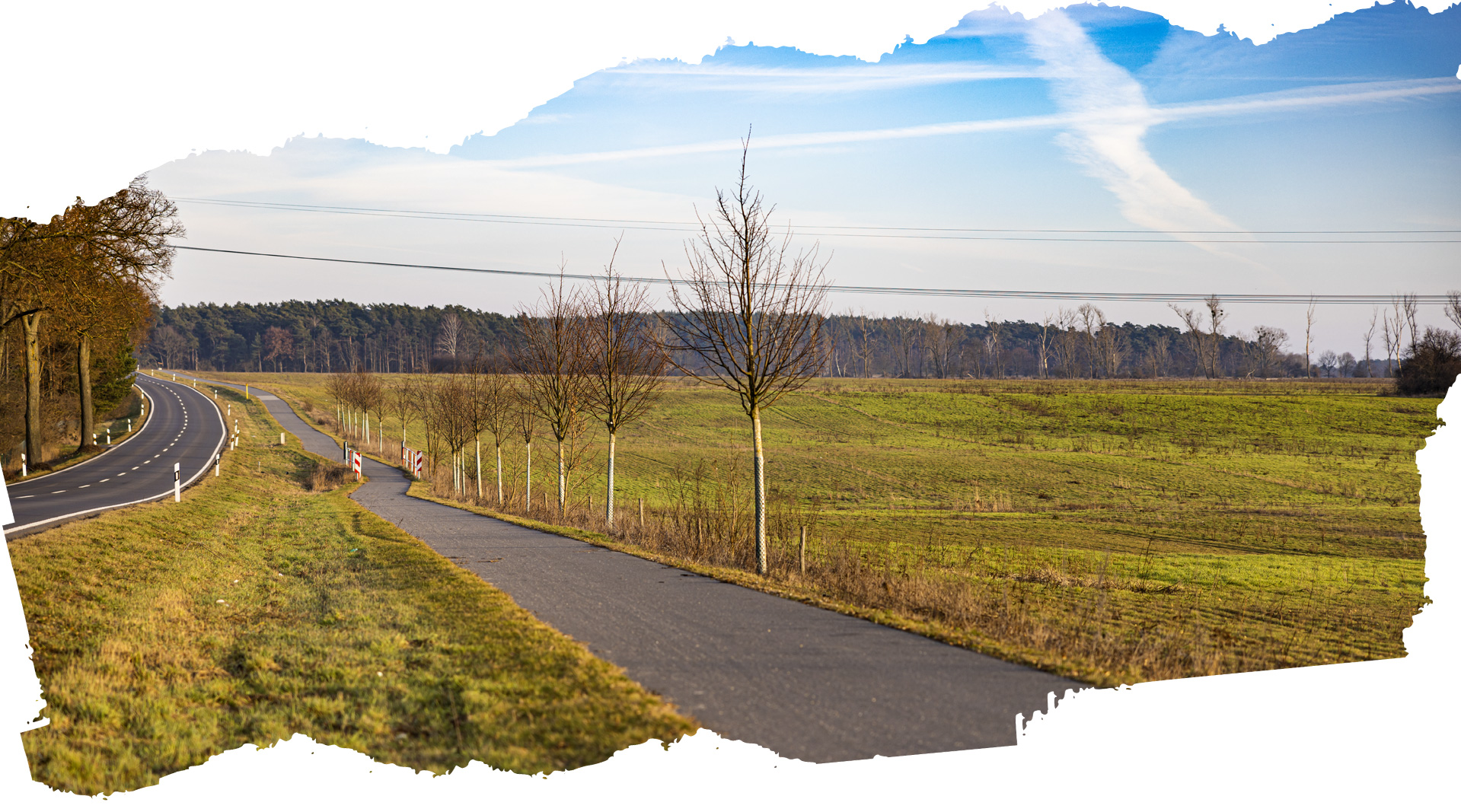 Fahrrad Naumann in Strausberg